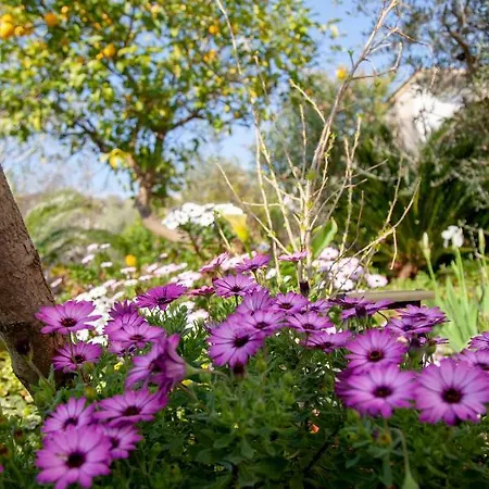 아파트 Panoramica 테라치나