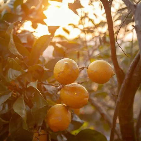 아파트 Panoramica 테라치나